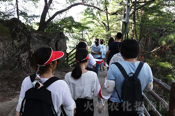 登老君山,學(xué)國(guó)學(xué)文化!