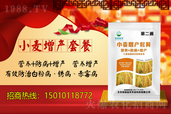 小麥收割