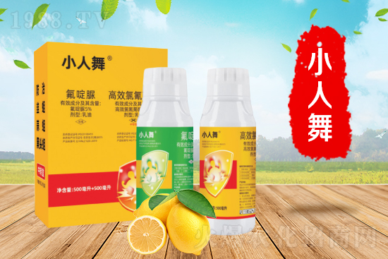 新年快樂(lè)