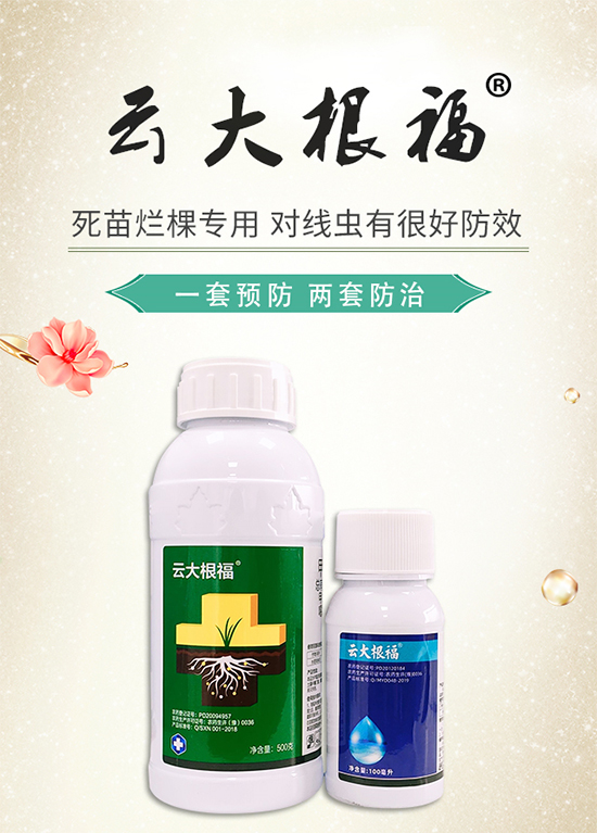 【加號(hào)農(nóng)業(yè)】祝您新年快樂!身體健康,萬事如意!事業(yè)有成!