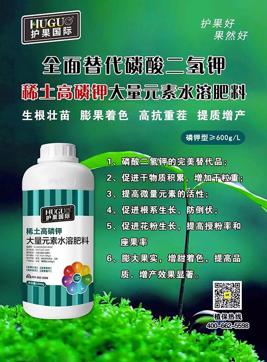 鉀肥大漲價(jià),這種鉀肥逆勢而上!替代磷酸二氫鉀,搶占百萬市場