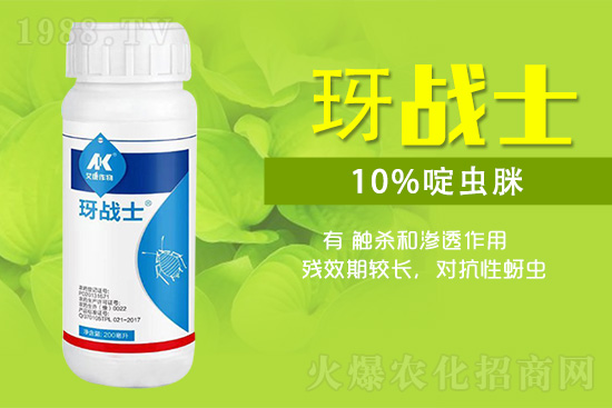 早春蚜蟲(chóng)很容易大爆發(fā),怎么避免黃瓜蚜蟲(chóng)危害?