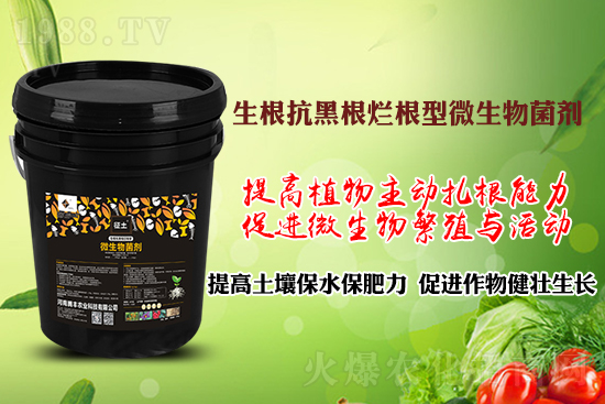 作物黑根爛根、黃苗弱苗頻發(fā)？用“它”輕松解決！百萬種植戶都在用！