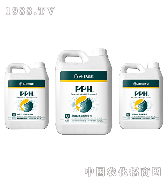 PPH-~(y)ܴa-Խ