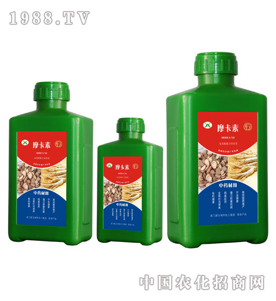 ˎČ(zhun)ðҺķ-Ħ-(qing)о(gu)H