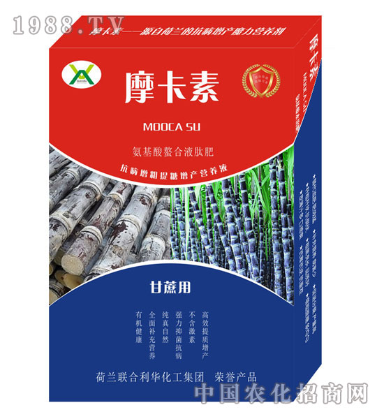 ጣðҺķ-Ħ-(qing)о(gu)H