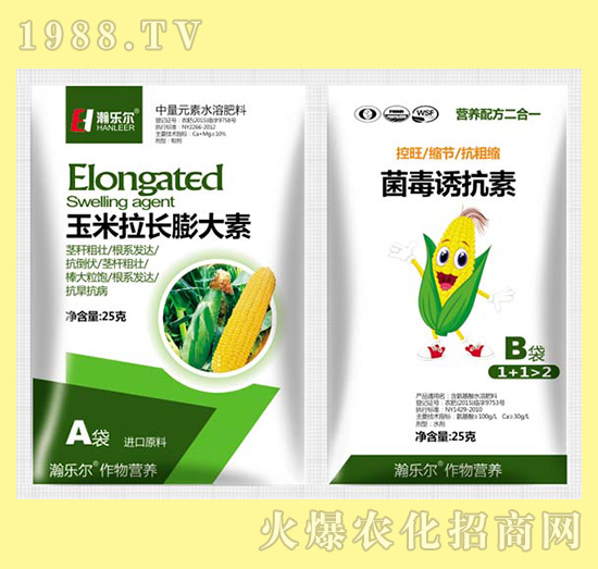 L(zhng)+T-嫘(l)