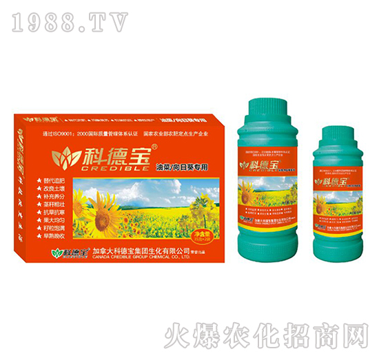 Ͳտ(zhun)àI(yng)B(yng)a(chn){(dio)턩-Ƶ