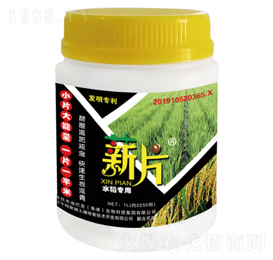 ˮ(zhun)-нƬ-؏(f)