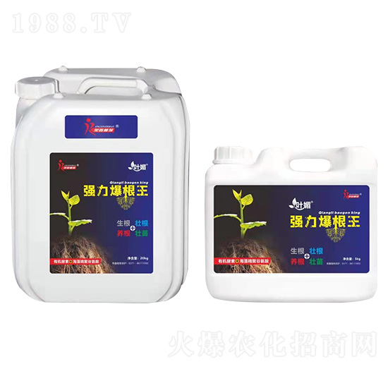 (qing)-~-sֲ