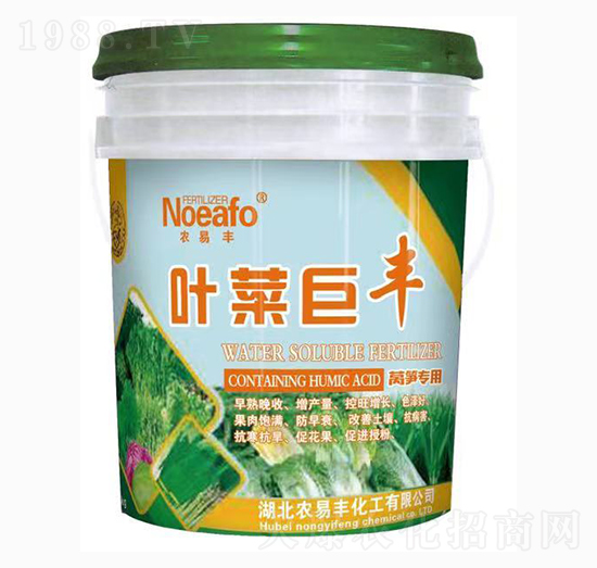 nS(zhun)÷-~˾S-r(nng)S