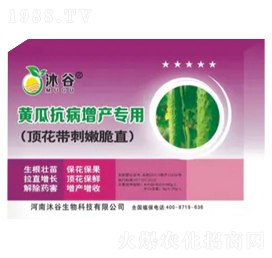 SϿa(chn)(zhun)-