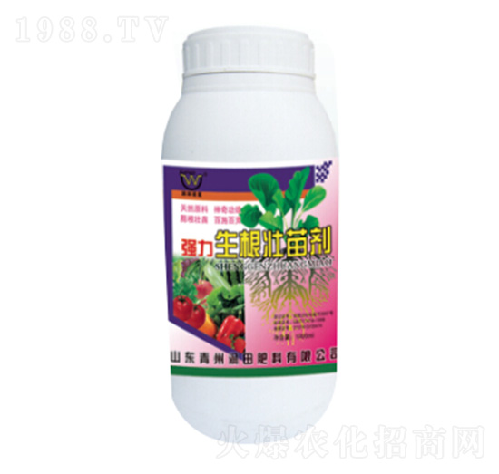 ƿb(qing)焩-