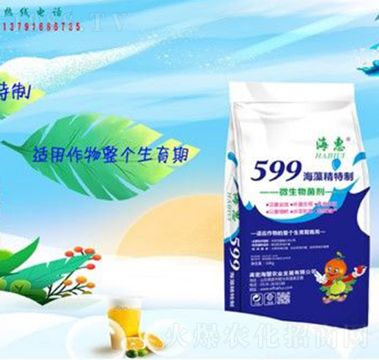 599徫-