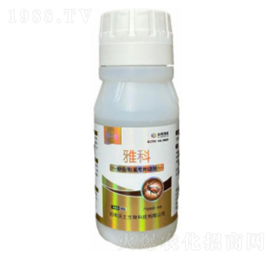 x(chng)ʭ-ſ-ډѴTS-