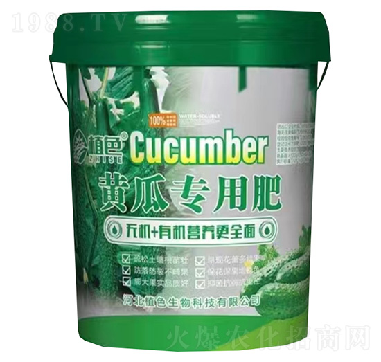 Sό(zhun)÷-ֲɫ