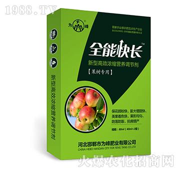 ȫܿL(zhng)䌣ã-