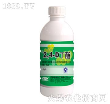 72%24ζ-G