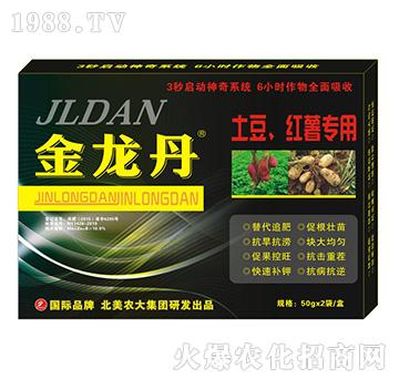 t팣(zhun)-r(nng)