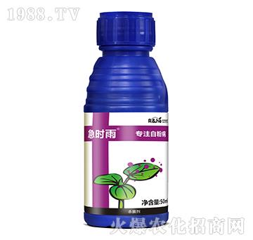 ׷۲Ú-r(sh)-к(rn)