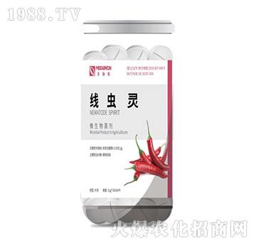 ΢-x(chng)`-٤z