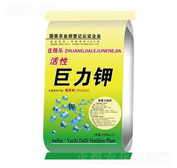 Ծ-fژ(l)-ػ