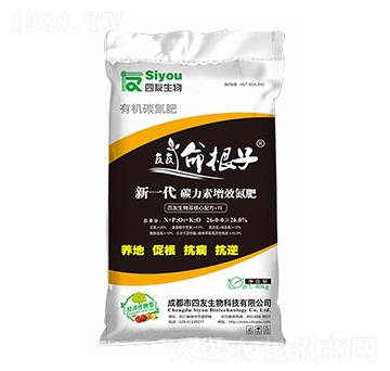 (jng)(j)(zhun)̼Ч26-0-0-