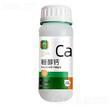 Ǵ}-֠(l)