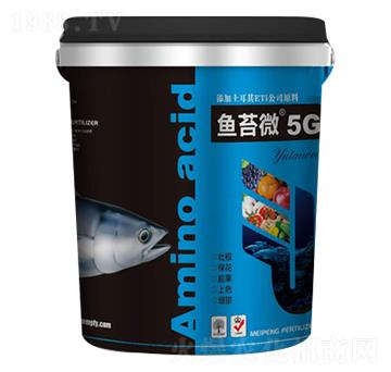 ~(y)̦΢5G-ʘI(y)