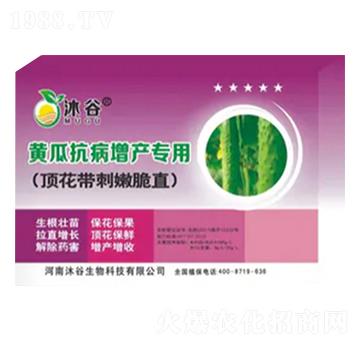 SϿa(chn)(zhun)-
