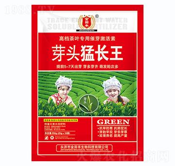 ~(zhun)ôѿ-ѿ^L(zhng)-S