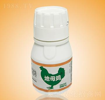 a(chn)(zhun)~-ĸu-c(din)