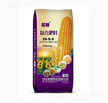 ͻ25-5-5-͸ʘI(y)