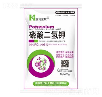 400g-݃|r