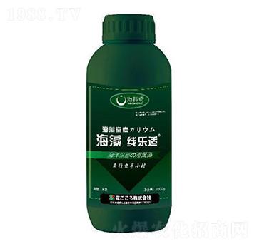 往m-