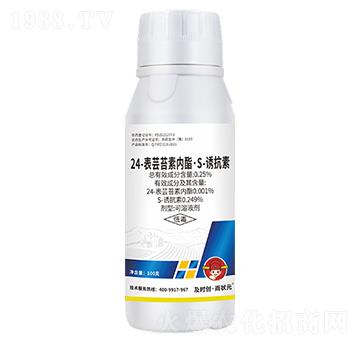 24-|̦؃(ni)S-TؿҺ100g-r(chung)?du)?r