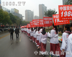 2013(j)ֲڡСꖡĹâ
